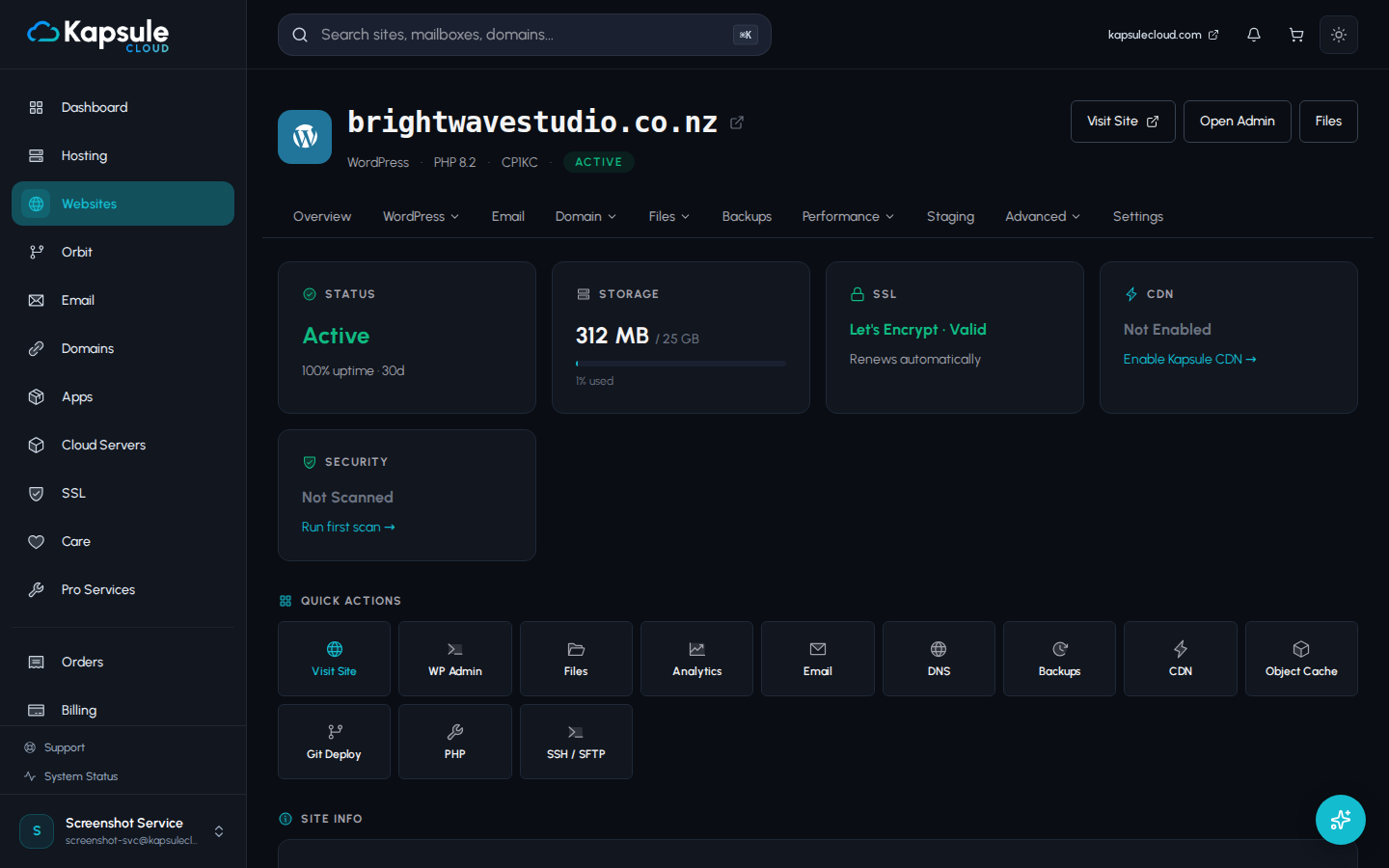 Website detail page in KPanel